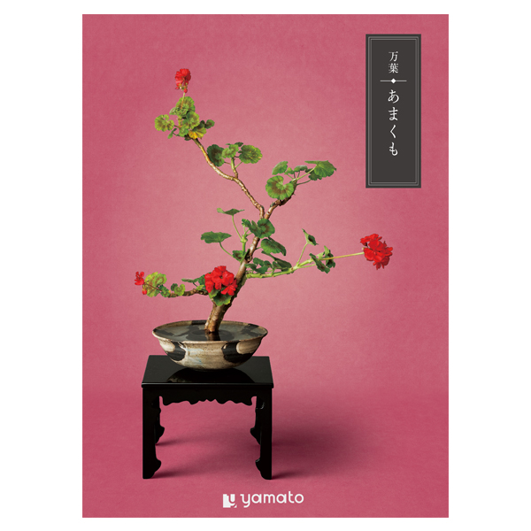 �J�^���O�M�t�g ���t ���܂���